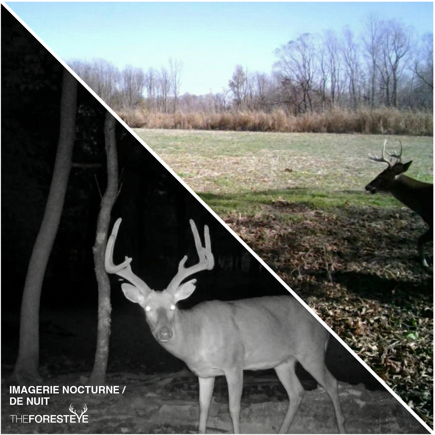 Caméra de Chasse HD 1080p 20MP