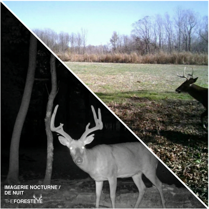 Caméra de Chasse HD 1080p 20MP