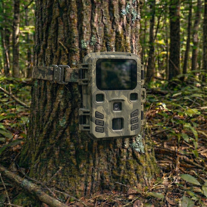 Caméra de Chasse WiFi Connectée – Vision Nocturne | TheForestEye 1080P 20MP