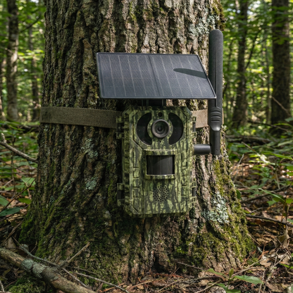 Caméra de Chasse 4G Connectée Solaire – Vision Nocturne | TheForestEye 1080P 20MP