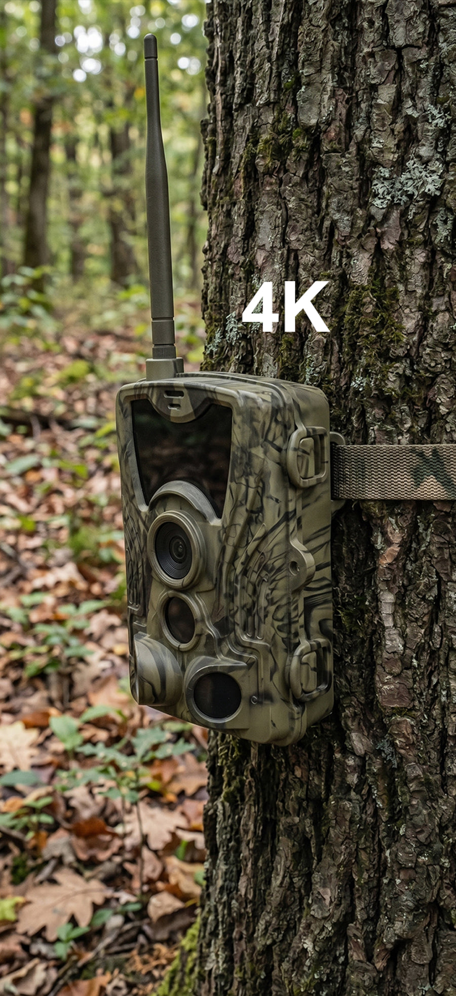 RÉSOLUTION 4K.